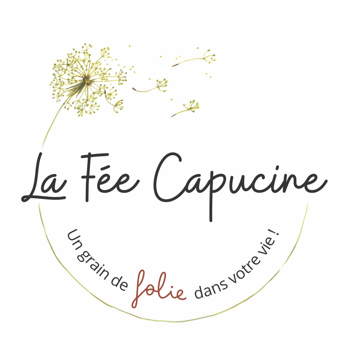 LA FEE CAPUCINE / BROILLIARD GAELLE