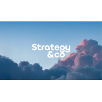 Strategy &Co