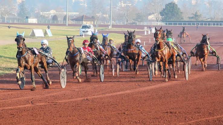 Conviviale à l'hippodrome